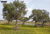Parcela urbanizable en venta en la España, Montánchez, ref: TR391230 foto