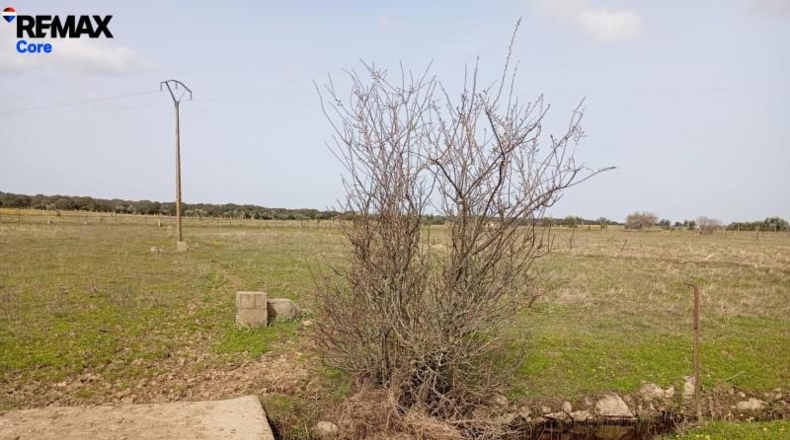 Cáceres - Montánchez - 13000m2