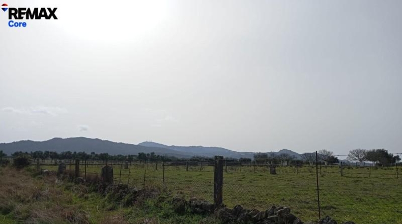 Cáceres - Montánchez - 13000m2