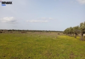 Parcela urbanizable en venta en la España, Montánchez, ref: TR391230 foto