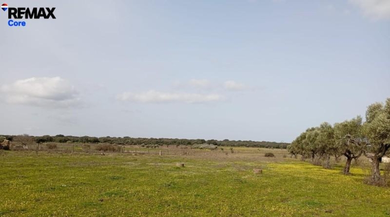 Cáceres - Montánchez - 13000m2