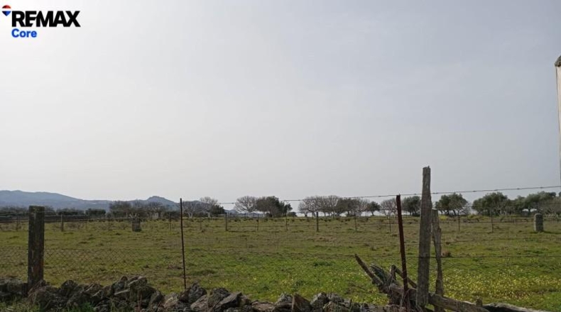 Cáceres - Montánchez - 13000m2
