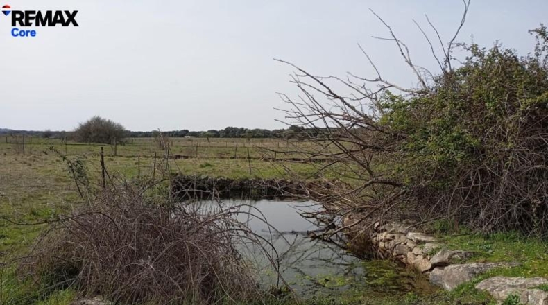 Cáceres - Montánchez - 13000m2