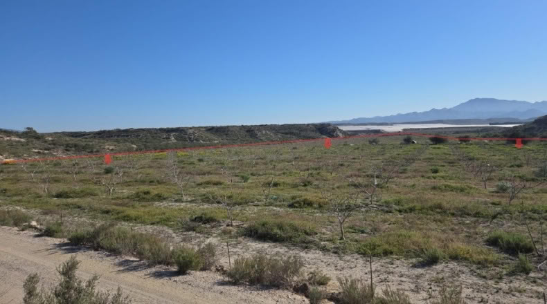 Múrcia - Gañuelas - 200000m2
