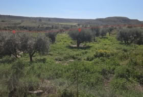 Gañuelas 200000&nbsp;м²