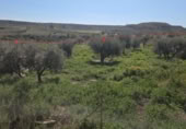 Terreno con Almacén en venta en la Gañuelas, ref: TR391430 foto