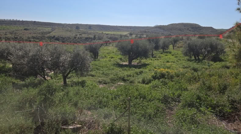 Múrcia - Gañuelas - 200000m2