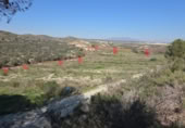 Terreno con Almacén en venta en la Gañuelas, ref: TR391430 foto