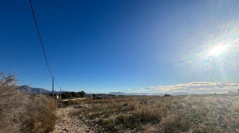 Alicante - Novelda - 17760m2