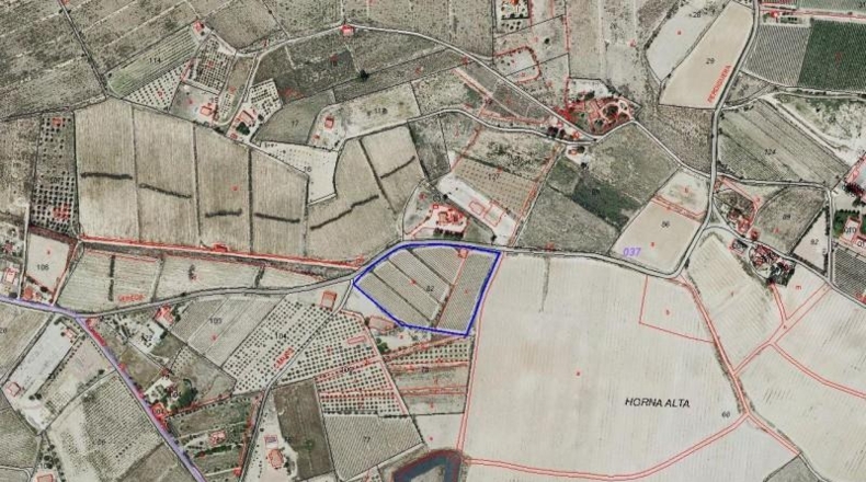 Alicante - Novelda - 17760m2