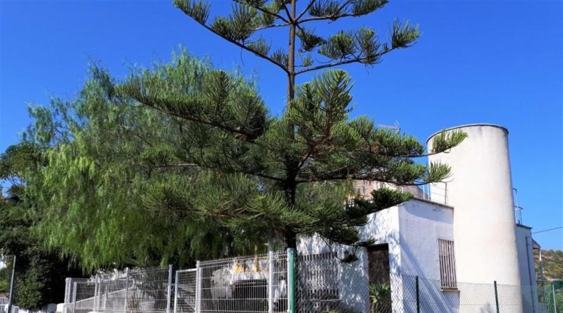 Tarragona - Alcanar - 139m2