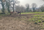Sòl urbà en venda a la España, Cabezón de la Sal, ref.: TR391123 foto