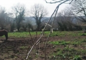 Sòl urbà en venda a la España, Cabezón de la Sal, ref.: TR391123 foto