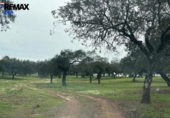 Non-developable land for sale on España, Jerez de los Caballeros, ref: TR391161 photo