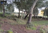 Non-developable land for sale on España, Jerez de los Caballeros, ref: TR391161 photo