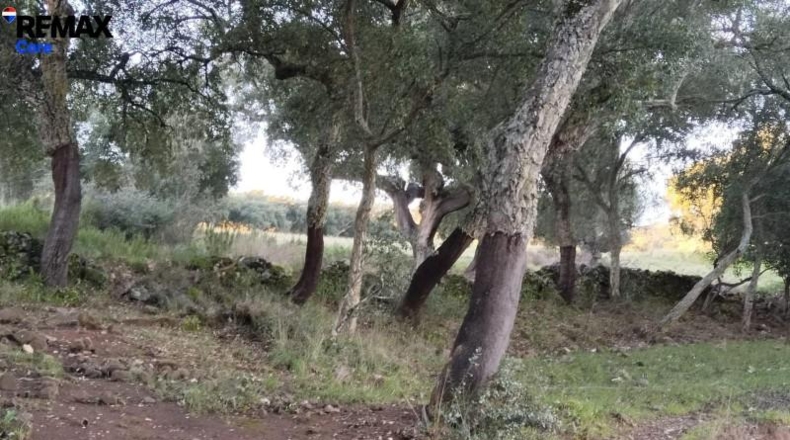 Badajoz - Jerez de los Caballeros - 370000m2