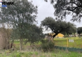 Non-developable land for sale on España, Jerez de los Caballeros, ref: TR391161 photo
