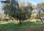 Non-developable land for sale on España, Jerez de los Caballeros, ref: TR391161 photo