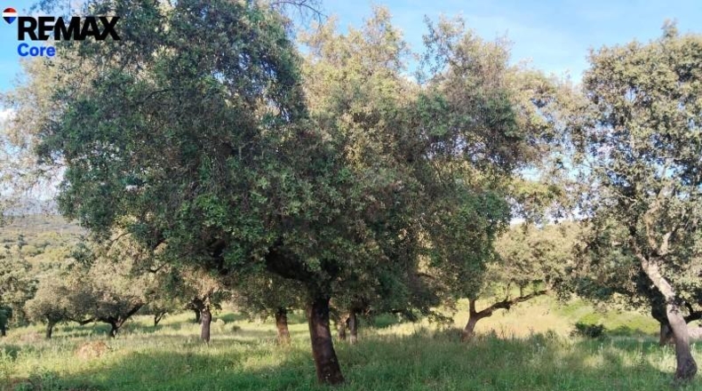 Badajoz - Jerez de los Caballeros - 370000m2