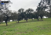 Non-developable land for sale on España, Jerez de los Caballeros, ref: TR391161 photo