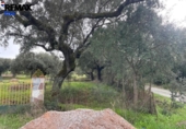 Non-developable land for sale on España, Jerez de los Caballeros, ref: TR391161 photo