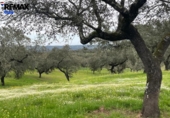 Non-developable land for sale on España, Jerez de los Caballeros, ref: TR391161 photo