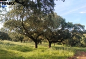 Non-developable land for sale on España, Jerez de los Caballeros, ref: TR391161 photo