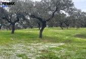 Non-developable land for sale on España, Jerez de los Caballeros, ref: TR391161 photo
