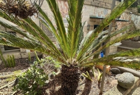 Foto 12