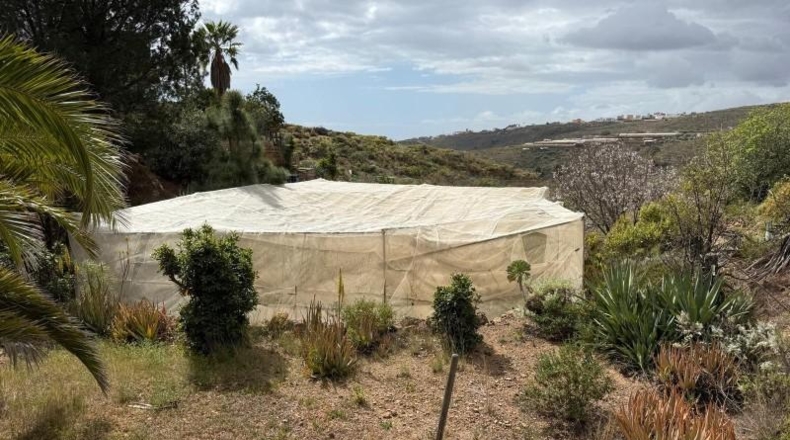 Salamanca - El Arco - 200m2