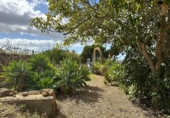 Casa de poble en venda a la España, Villa de Arico, ref.: TR400354 foto