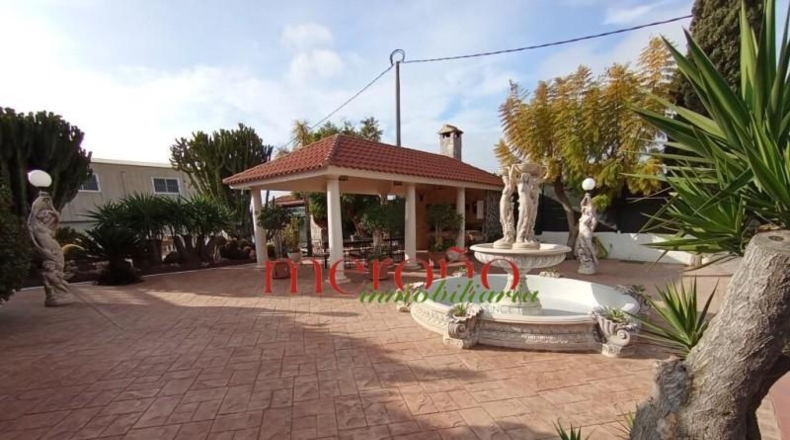 Alicante - Crevillent - 1650m2