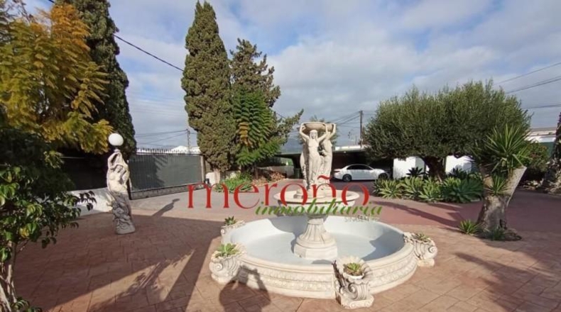 Alicante - Crevillent - 1650m2