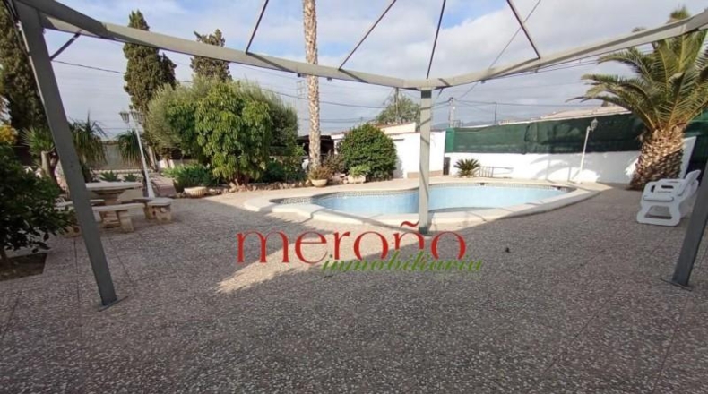 Alicante - Crevillent - 1650m2