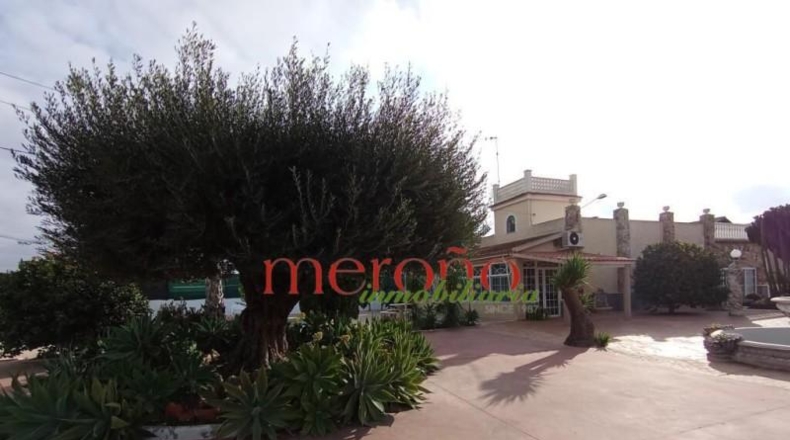 Alicante - Crevillent - 1650m2