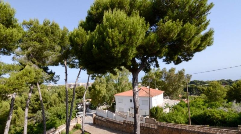 Alicante - Denia - 2007m2