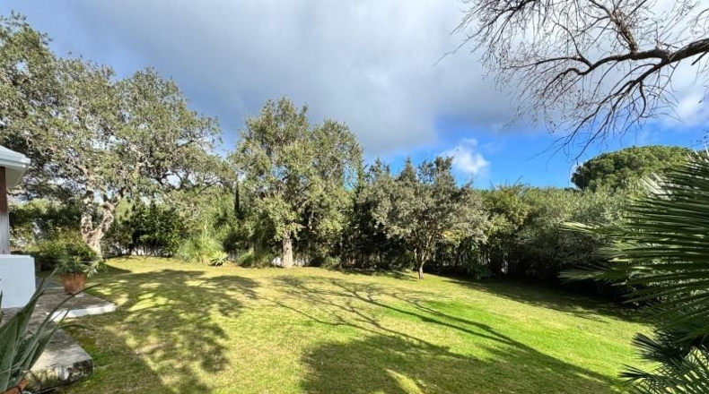 Orense - Vilariño de Conso - 2120m2