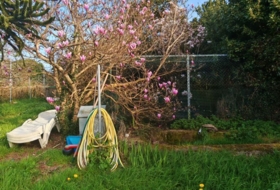 Foto 7