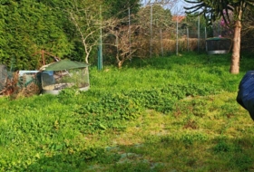 Foto 9