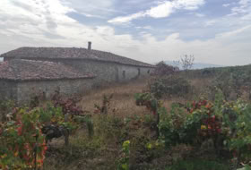 Pantón de Abaixo 2500&nbsp;m²