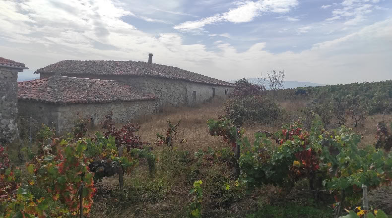 Lugo - Pantón de Abaixo - 2500m2