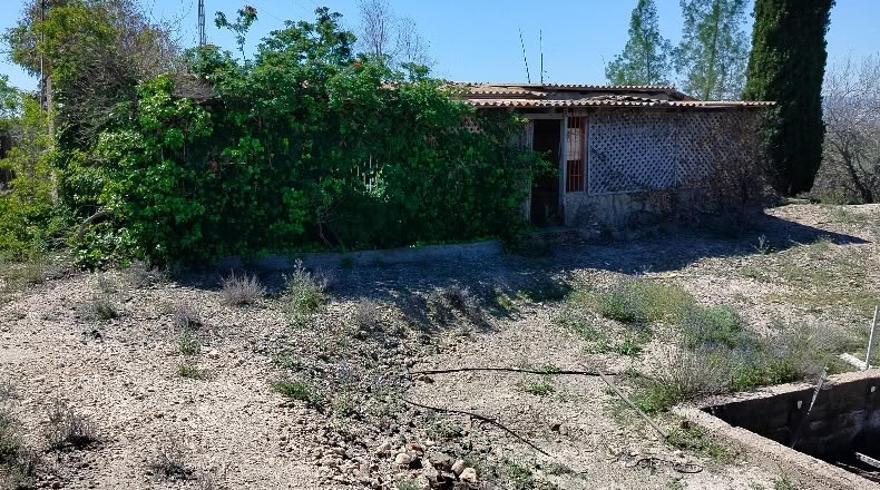 Murcia - Alhama de Murcia - 10500m2