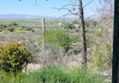 Casa de campo con terreno en venta en la Camino Las Salinas, Alhama de Murcia, ref: TR392635 foto