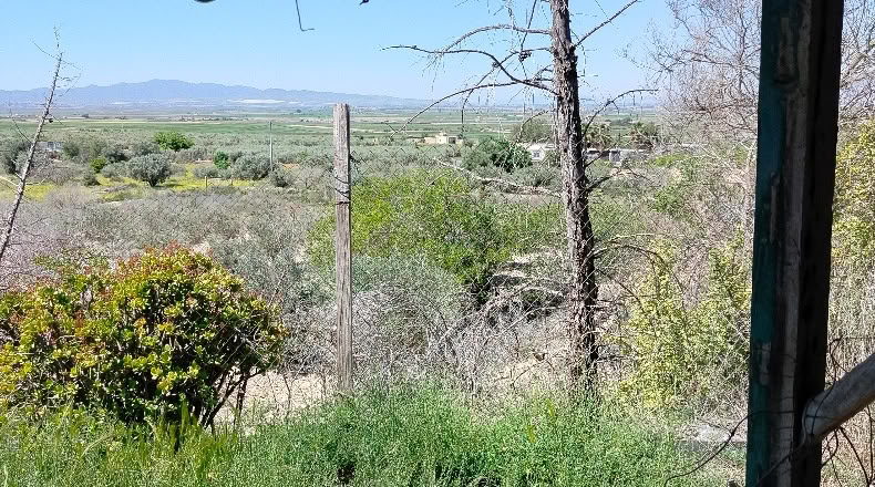 Murcia - Alhama de Murcia - 10500m2