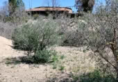 Casa de campo con terreno en venta en la Camino Las Salinas, Alhama de Murcia, ref: TR392635 foto
