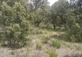Terreno no urbanizable en venta en la Camino las peñas SN, Manganeses de la Lampreana, ref: TR392135 foto
