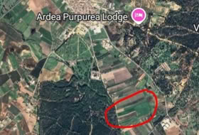 Villamanrique de la Condesa 85000&nbsp;m² 