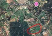 Non-developable land for sale on Camino del Llano, Villamanrique de la Condesa, ref: TR231683 photo