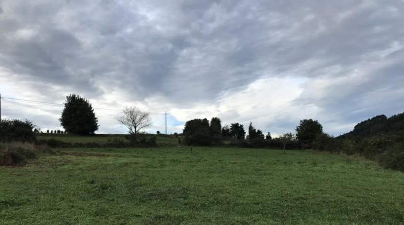 Asturias - Ciudad Residencial Perlora - 5032m2