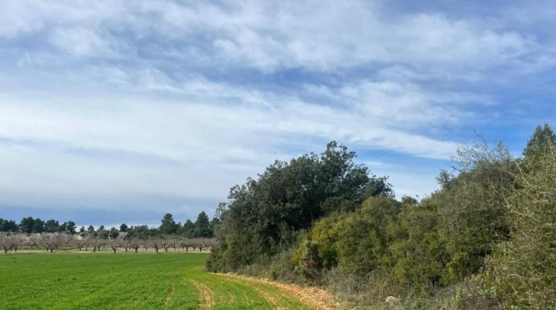 Teruel - Calaceit - 12m2